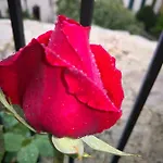 Il Torrione