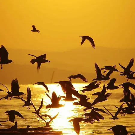 Bed & Breakfast Il Torrione 4*