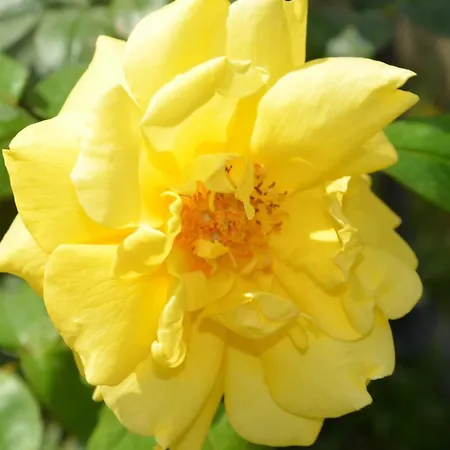 Bed & Breakfast Il Torrione Castiglione del Lago