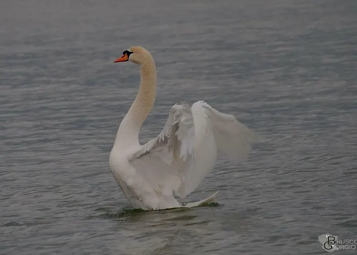 Bed & Breakfast Il Torrione