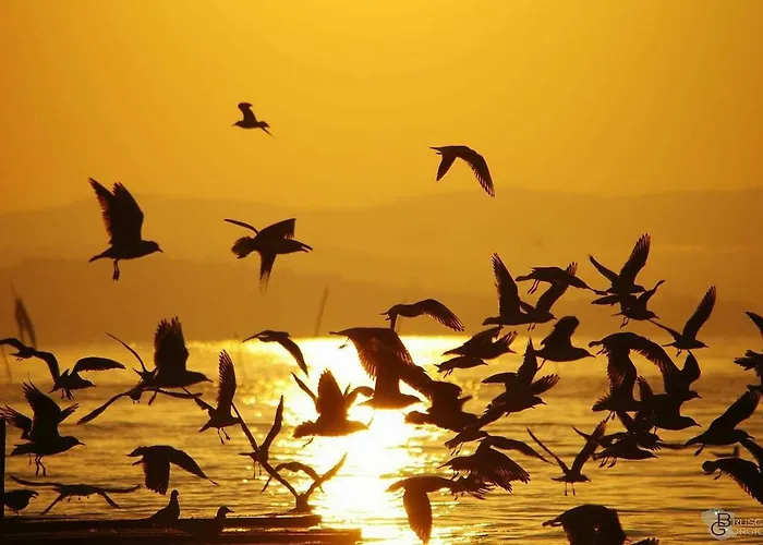 Bed & Breakfast Il Torrione 4*