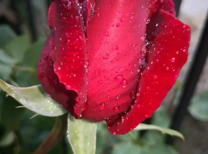 Il Torrione Bed & Breakfast Castiglione del Lago