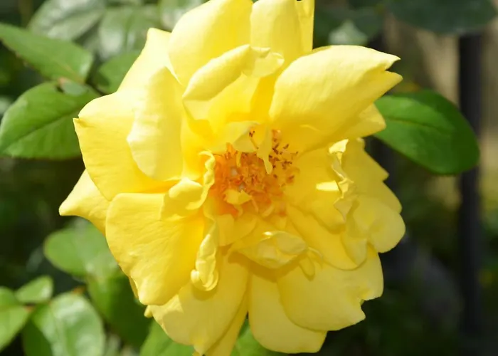 Bed & Breakfast Il Torrione Castiglione del Lago